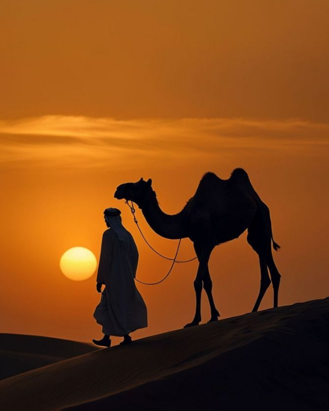 لوحة ظلية لرجل يقود ناقته فوق كثيب رملي عند غروب الشمس