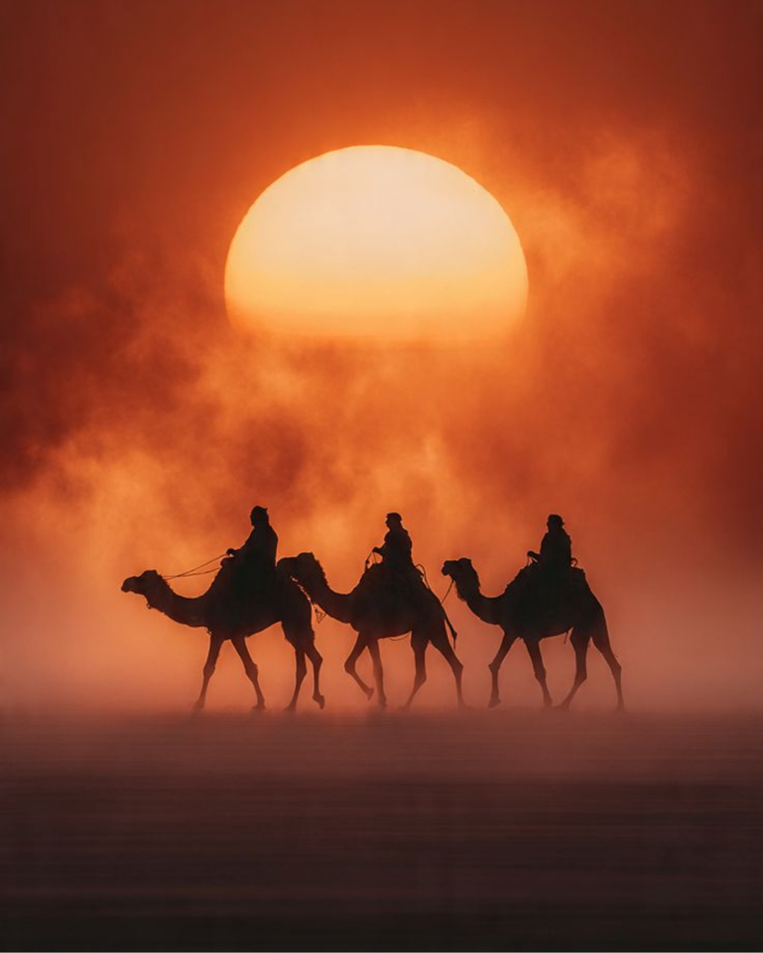 قافلة الشمس الغاربة قافلة جِمال وفرسان يعبرون الصحراء عند غروب الشمس وسط ضباب برتقالي
